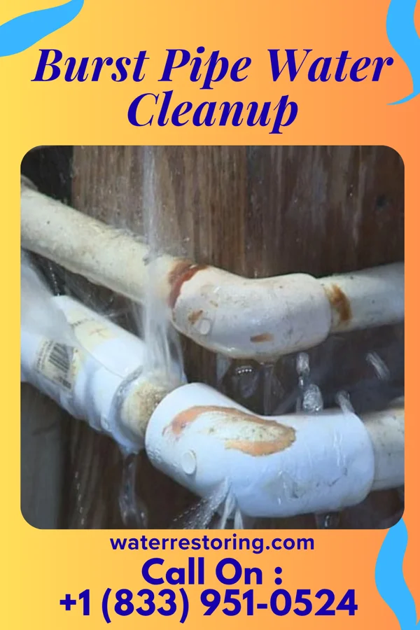 Burst Pipe Water Cleanup in Patterson, LA