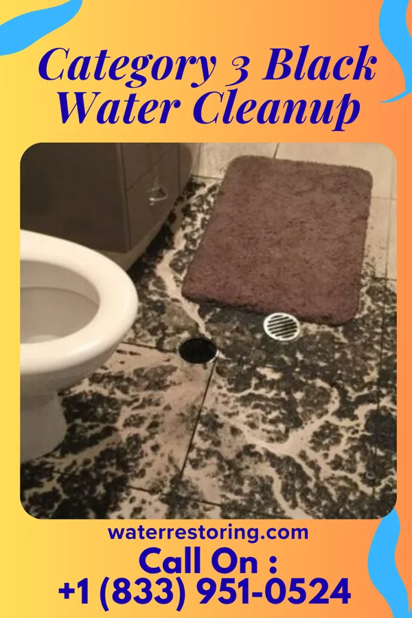 Category 3 Black Water Cleanup in Patterson, LA