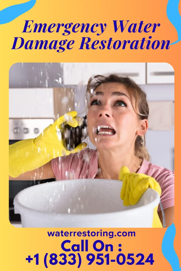 Emergency Water Damage Restoration in Patterson, LA